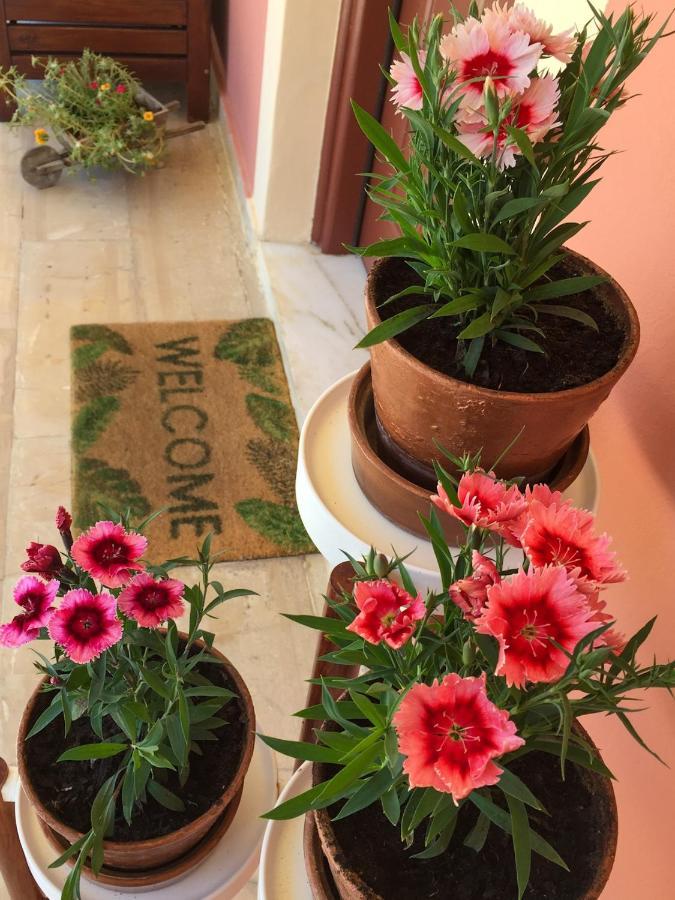 Nikodimos Garden Studios Ágios Geórgios Extérieur photo